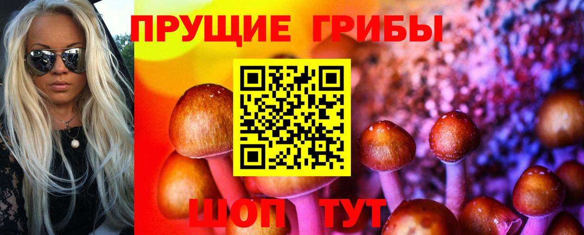 Ялуторовск  Псилоцибиновые грибы Psilocybine cubensis  Галлюциногенные грибы GOLDEN TEACHER  Вход с VPN 