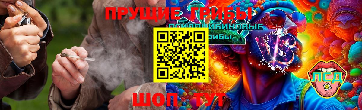 Псилоцибиновые грибы GOLDEN TEACHER Ялуторовск